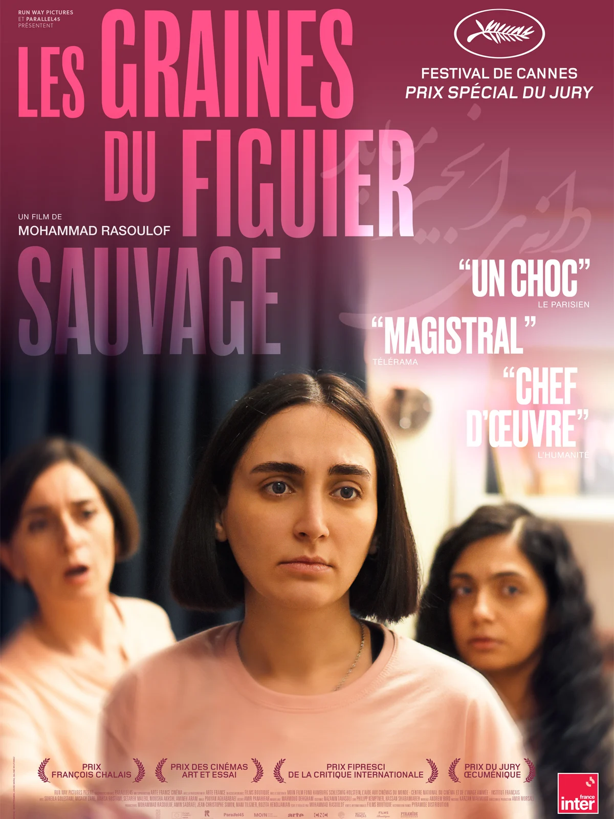 CINÉMA « Les graines du figuier sauvage »